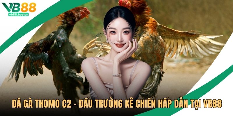 Đá Gà Thomo C2